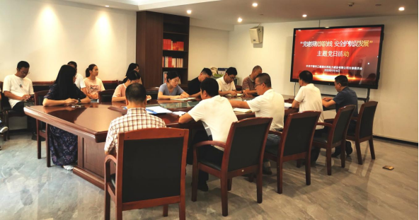 市三都澳水电公司党支部开展“党建领航筑防线 安全护航促发展”主题党日活动